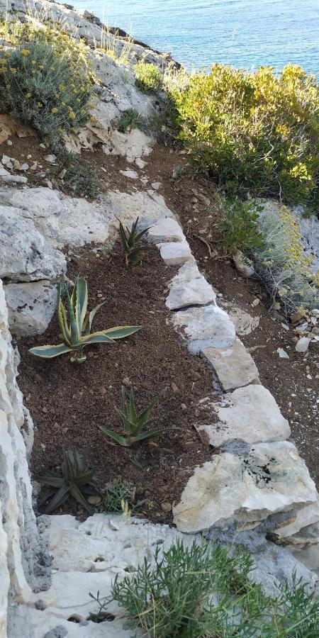 House On Punta Villa Vela Luka Dış mekan fotoğraf