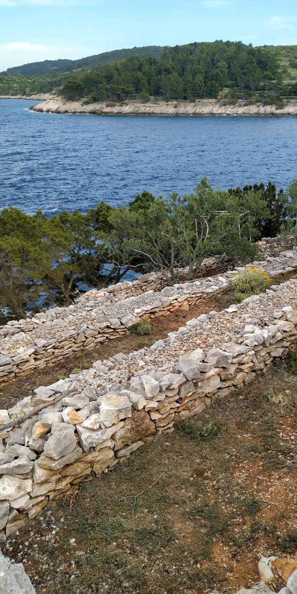 House On Punta Villa Vela Luka Oda fotoğraf