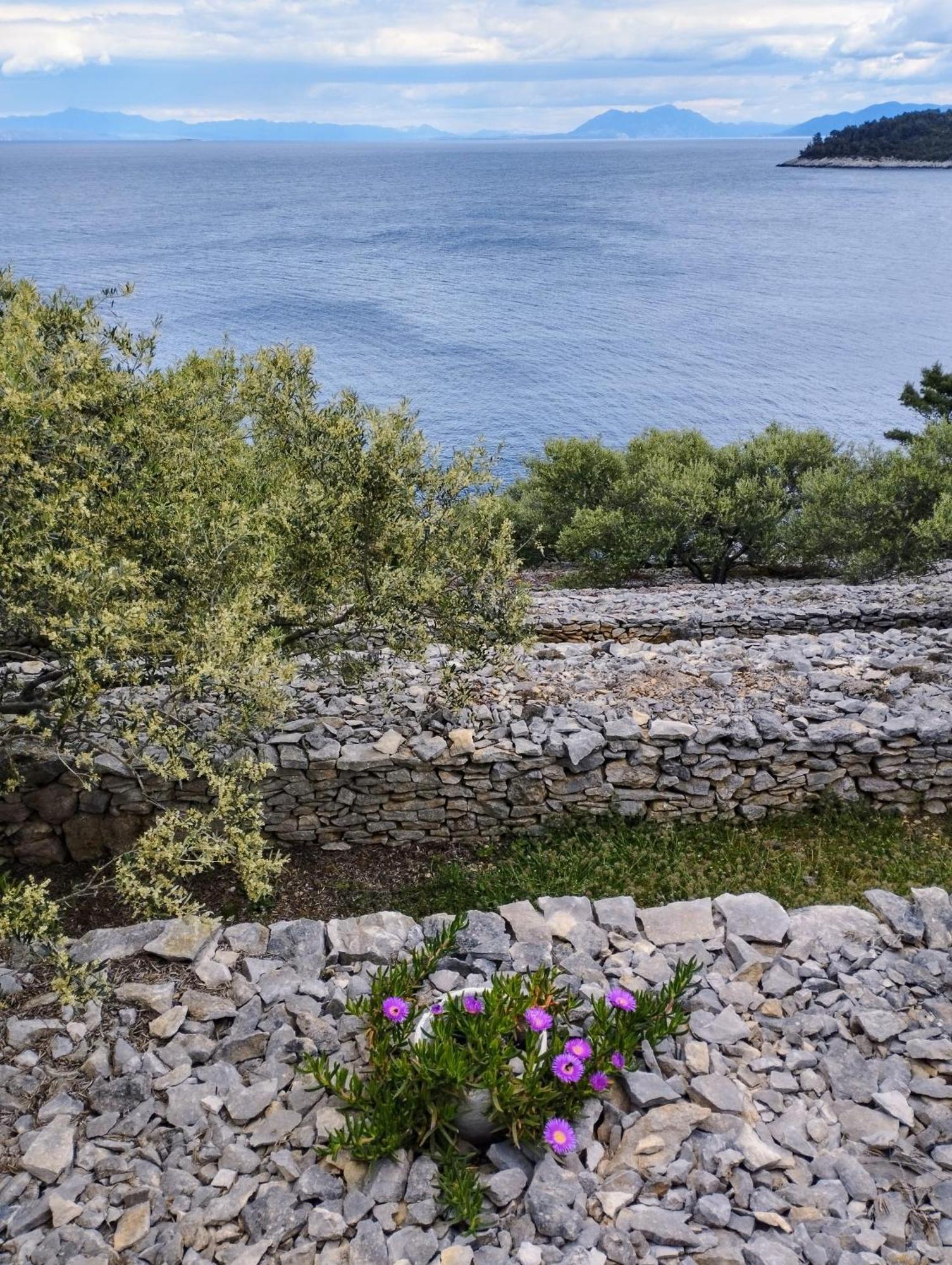 House On Punta Villa Vela Luka Dış mekan fotoğraf